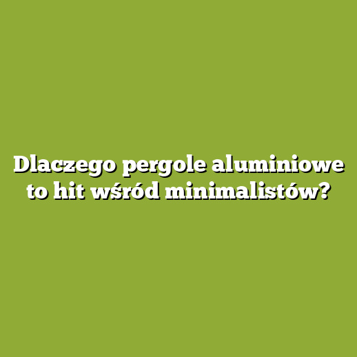 Dlaczego pergole aluminiowe to hit wśród minimalistów?