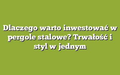 Dlaczego warto inwestować w pergole stalowe? Trwałość i styl w jednym
