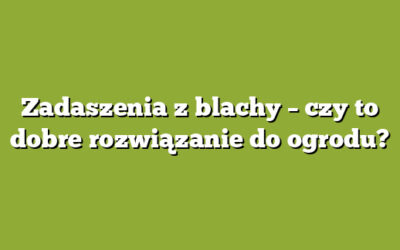 Zadaszenia z blachy – czy to dobre rozwiązanie do ogrodu?