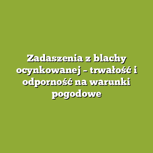 Zadaszenia z blachy ocynkowanej – trwałość i odporność na warunki pogodowe Zadaszenia z blachy ocynkowanej – trwałość i odporność na warunki pogodowe