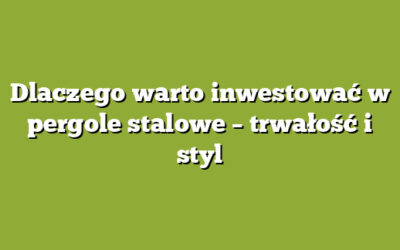 Dlaczego warto inwestować w pergole stalowe – trwałość i styl