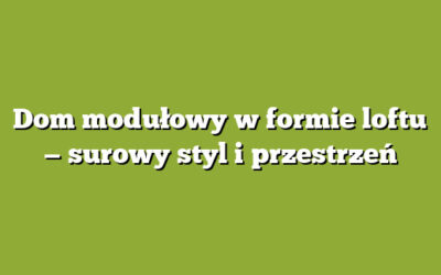 Dom modułowy w formie loftu — surowy styl i przestrzeń